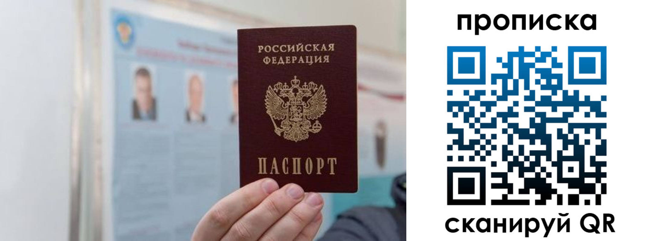 прописка 2025 в Александрове